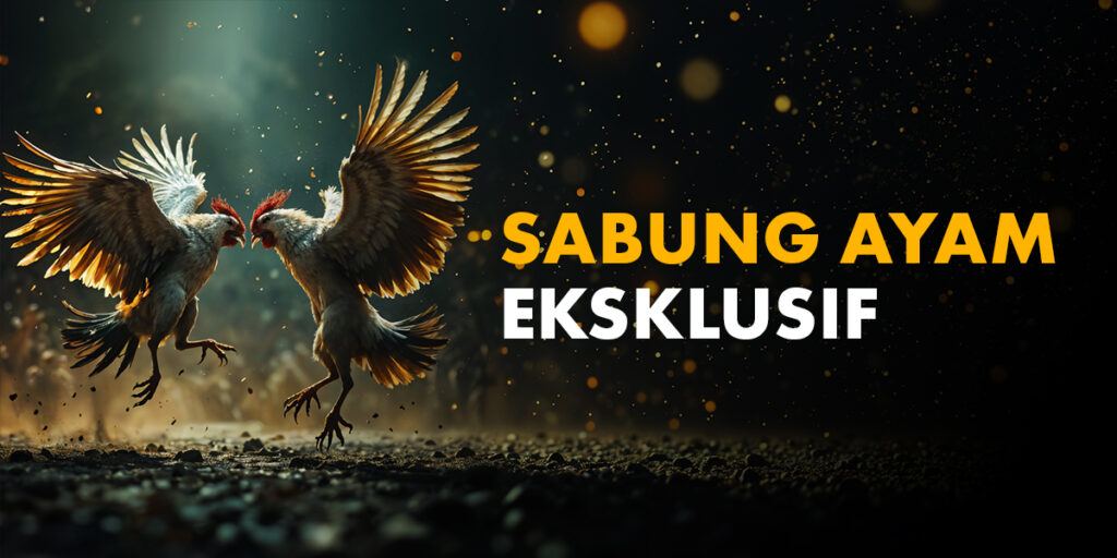 sabung ayam