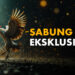 sabung ayam