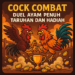 Cock Combat