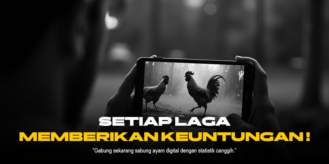 Membedah Sabung Ayam Online: Provider, ODS, dan Jenis Ayam Terpopuler
