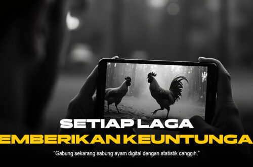 Membedah Sabung Ayam Online: Provider, ODS, dan Jenis Ayam Terpopuler