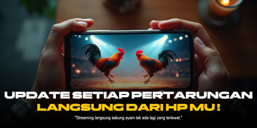 Sabung Ayam SV388: Kenali Jenis Ayam, Odds, dan Provider Terpercaya