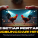 Sabung Ayam SV388: Kenali Jenis Ayam, Odds, dan Provider Terpercaya
