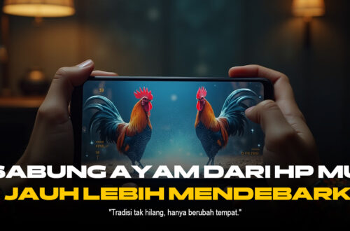 Menguak Jenis Ayam Aduan Terfavorit di Sabung Ayam SV388