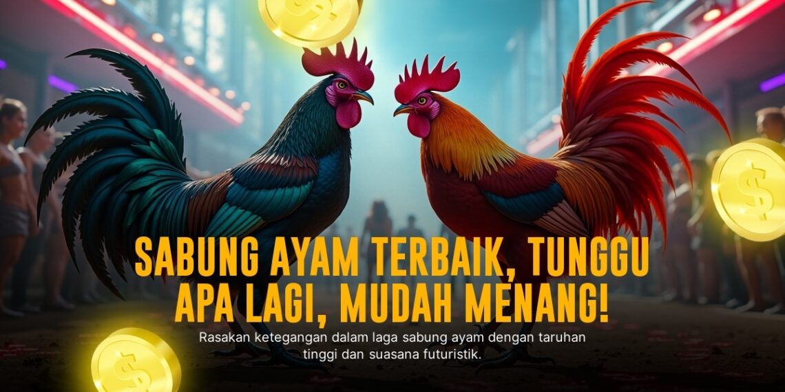 Mengenal Ayam Bangkok dalam Sabung Ayam Online SV388