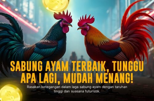 Mengenal Ayam Bangkok dalam Sabung Ayam Online SV388