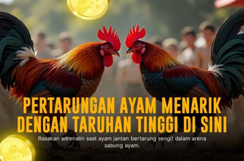 Strategi Jitu Sabung Ayam SV388: Peluang dan Jenis Ayam Terbaik