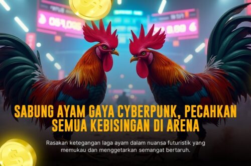 Seru! Mengenal Ayam Bangkok: Raja Sabung Ayam yang Tak Terkalahkan