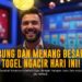 Colok Bebas: Strategi Main Togel yang Bikin Untung Gede!