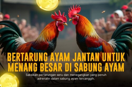 Membongkar Rahasia SV388: Platform Sabung Ayam Paling Andal