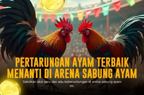 Rahasia Kemenangan Sabung Ayam Jenis Ayam Bangkok