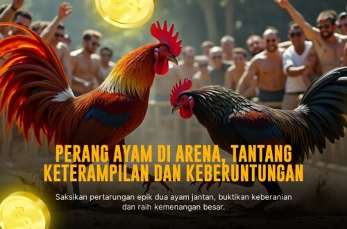 Menggali Dunia Sabung Ayam S128: Sensasi Taruhan dan Strategi