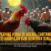 Menggali Dunia Sabung Ayam S128: Sensasi Taruhan dan Strategi