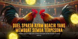 Rahasia Kemenangan Sabung Ayam via SV388: Peluang dan Jenis Ayam Paling Dicari