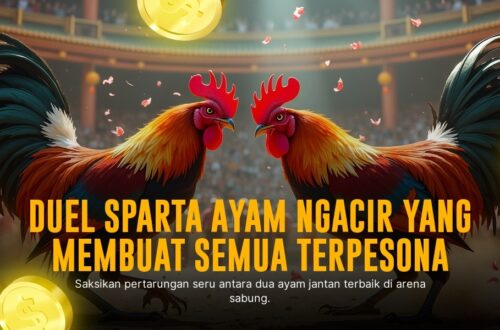 Rahasia Kemenangan Sabung Ayam via SV388: Peluang dan Jenis Ayam Paling Dicari