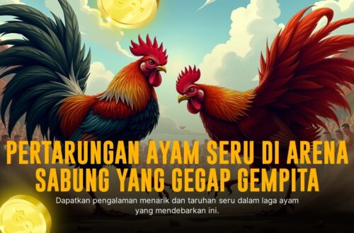 Mengenal Jenis Ayam Bangkok: Raja Sabung Ayam yang Paling Dicari
