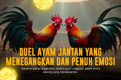S128 Sabung Ayam: Kenali Jenis Ayam dan Peluang Taruhan Maxwin