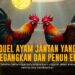S128 Sabung Ayam: Kenali Jenis Ayam dan Peluang Taruhan Maxwin
