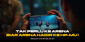 Mengenal Ayam Bangkok: Raja Sabung Ayam dengan Odds Terbaik di SV388