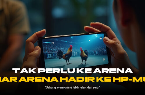 Mengenal Ayam Bangkok: Raja Sabung Ayam dengan Odds Terbaik di SV388