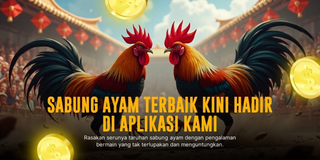 Menguak Kehebatan Ayam Bangkok dalam Dunia Sabung Ayam