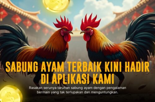 Menguak Kehebatan Ayam Bangkok dalam Dunia Sabung Ayam